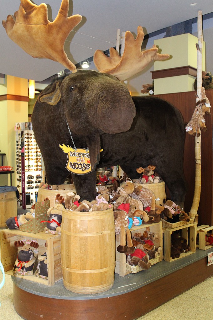 The stuffed moose and a viriety of plush toys on display at a gift shop.