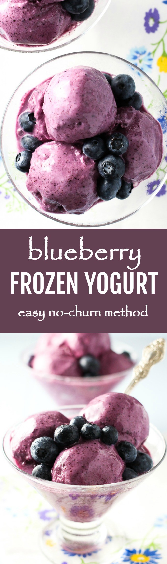 Blueberry Frozen Yogurt (NoChurn Recipe)