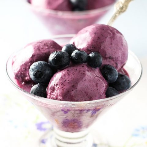 Blueberry frozen yogurt in glass bowl. Decorated with fresh blueberries.