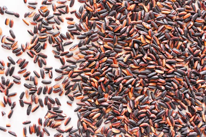 Black rice on white background.