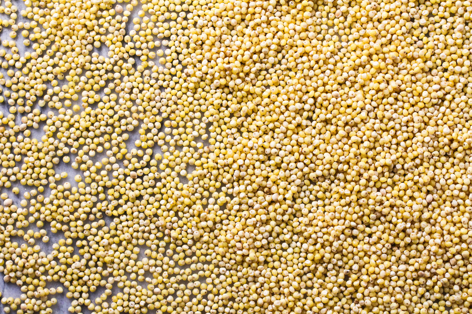 Close up of loose uncooked millet seeds.