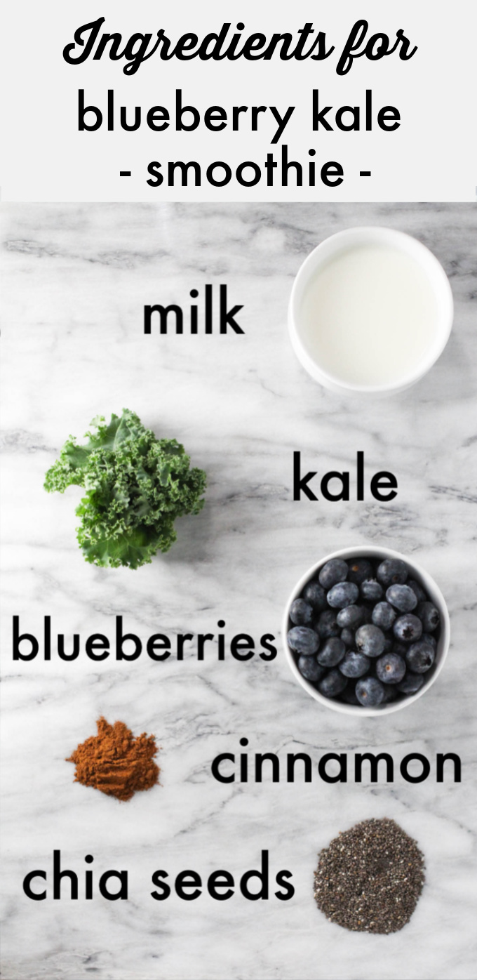 Blueberry Kale Smoothie (Healthy Recipe)
