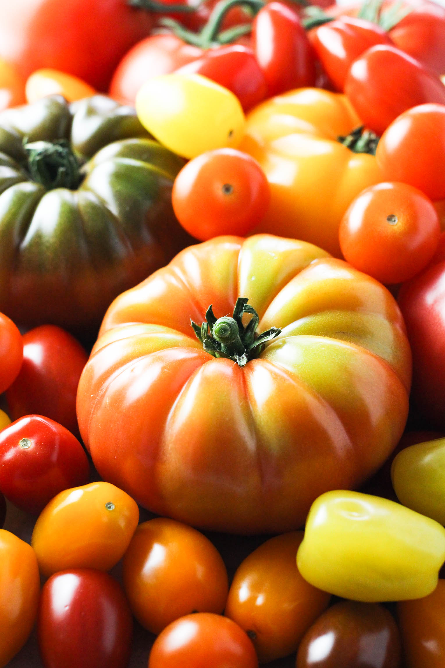 Large and small tomatoes in red, yellow and green.