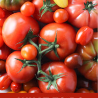 Various colors, shapes and sizes of tomatoes. Below the image, there is a text overlay saying: what to do with too many tomatoes.
